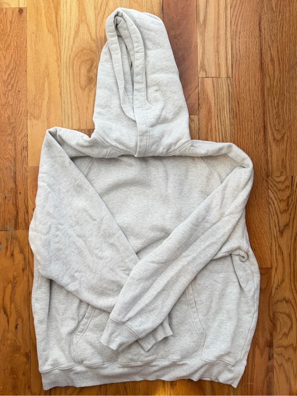 Aritzia sweat fleece hoodie